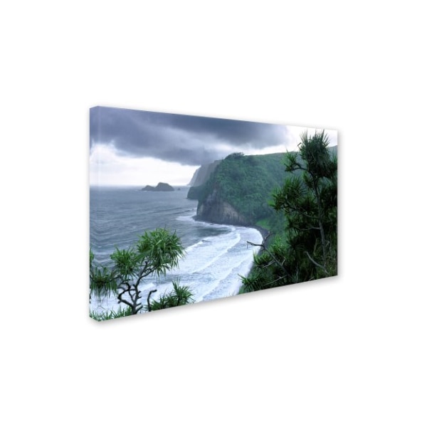 Mike Jones Photo 'Pololu Valley' Canvas Art,16x24